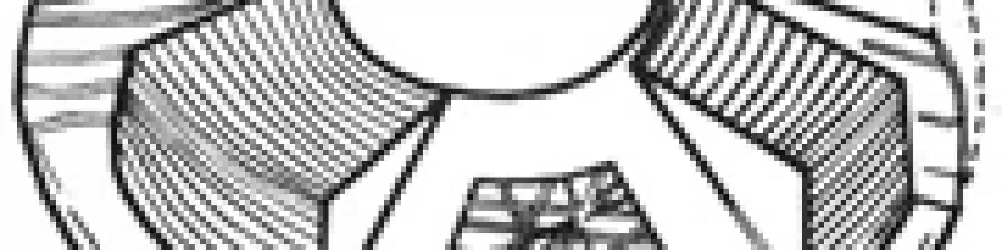 architecture_du_menisque