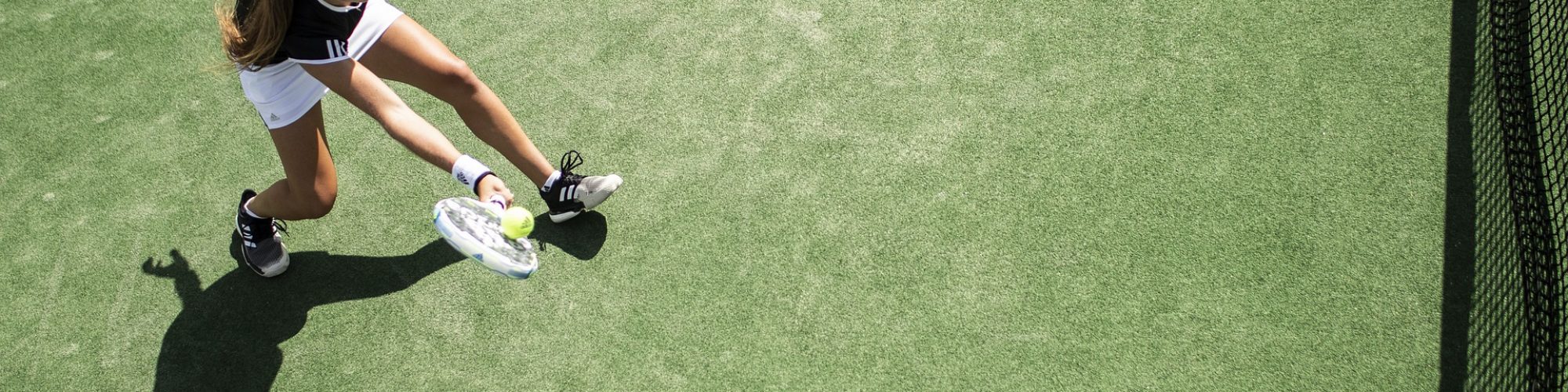 Coiffe des rotateurs - tennis - épaule
